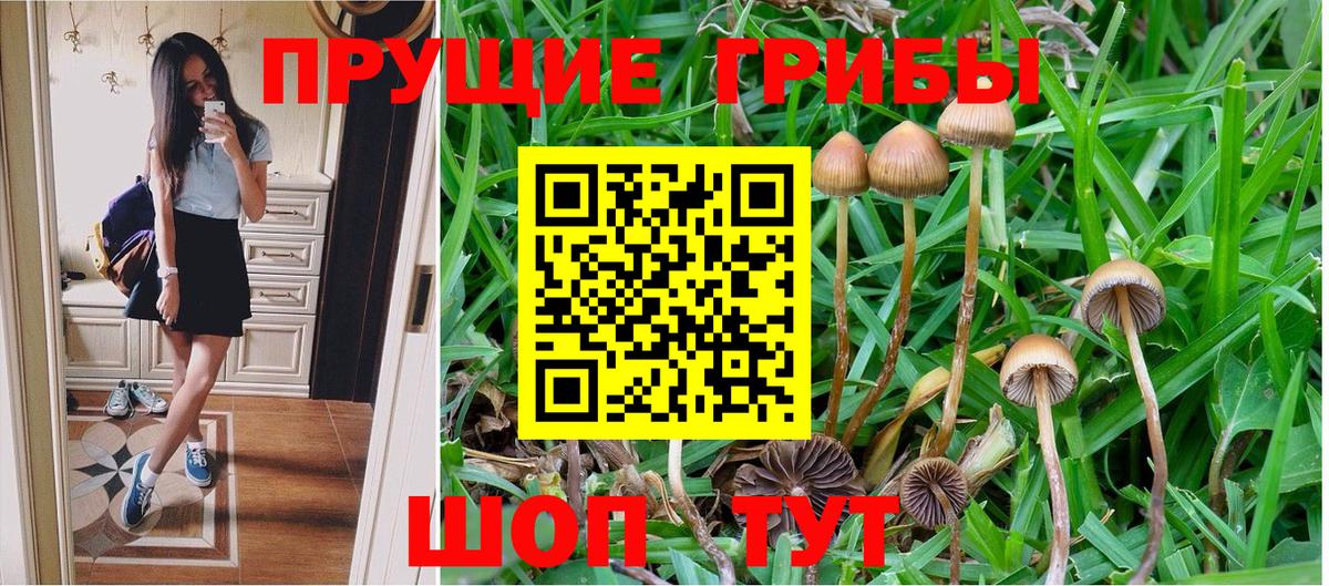 Псилоцибиновые грибы прущие грибы  Галлюциногенные грибы Magic Shrooms  Ачхой-Мартан  Вход с VPN 