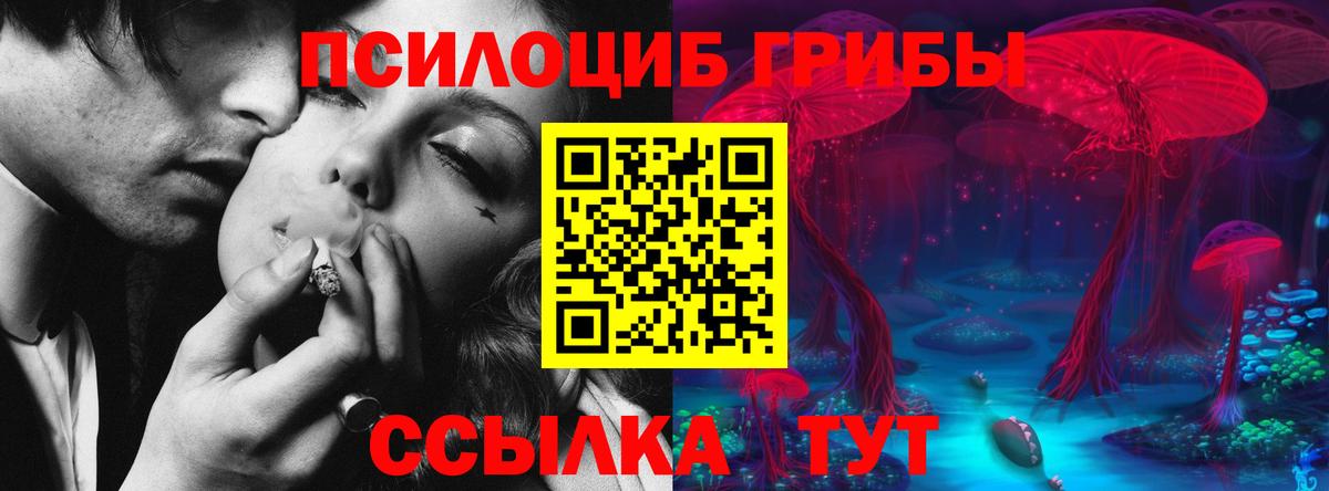 Галлюциногенные грибы MAGIC MUSHROOMS Ачхой-Мартан