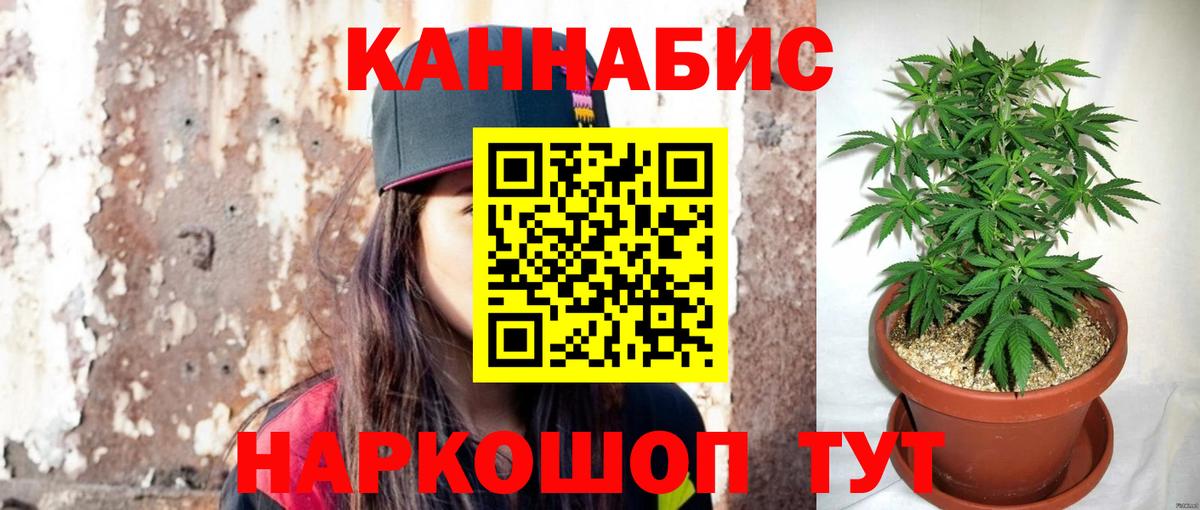 Марихуана SATIVA & INDICA  Бошки Шишки гибрид  Ачхой-Мартан  Бошки марихуана планчик  Канабис OG Kush  Вход с VPN 